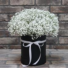Цветочная композиция из Гипсофила в шляпной коробке в Первомайском Ставропольского края
